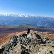 ���������� ������ ��������, ���� ������� ����, 40 ���, ������������ ��� ����� � ���������