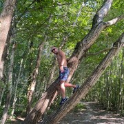 ���������� ����, ���� ������� ����, 45 ���, ������������ ��� ������, ����� � ���������