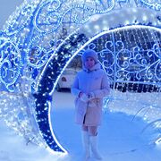 ���������� ������������-��������, ���� ������� �����, 60 ���, ������������ ��� c�������� ���������