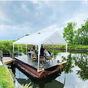 ���������� ������, ���� ������� John, 65 ���, ������������ ��� ����� � ���������, c�������� ���������