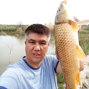 ���������� �������, ���� ������� ����, 41 ���, ������������ ��� ������, ���������