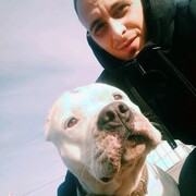 ���������� ���������, ���� ������� Roman, 29 ���, ������������ ��� ������, ����� � ���������, c�������� ���������