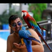 ���������� ������, ���� ������� ������, 35 ���, ������������ ��� ������, ����� � ���������