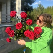 ���������� ������, ���� ������� �������, 56 ���, ������������ ��� ������, ����� � ���������