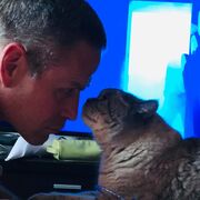 ���������� ������, ���� ������� �������, 54 ����, ������������ ��� ������, ����� � ���������