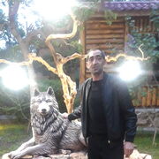  ,   , 53 ,   ,   