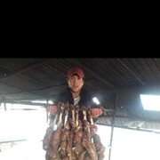 ���������� �����������, ���� ������� Nabijon, 28 ���, ������������ ��� ������, ����� � ���������