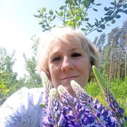  ,   , 53 ,   ,   