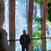 ���������� �������, ���� ������� ���, 36 ���, ������������ ��� ������, ����� � ���������