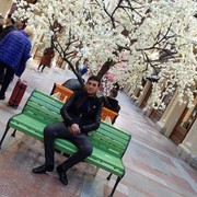 ���������� ���������, ���� ������� �����, 33 ����, ������������ ��� ������, ����� � ���������, c�������� ���������