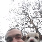  ,   , 34 ,  
