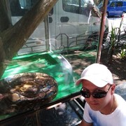  ,   , 43 ,   ,   , c , 