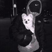 ���������� �������, ���� ������� ������, 38 ���, ������������ ��� ������, ����� � ���������