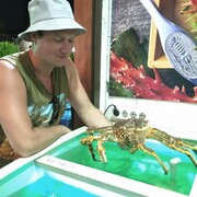  ,   , 36 ,   ,   