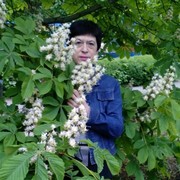  ,   , 55 ,   ,   , c 