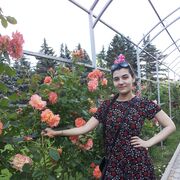  ,   , 33 ,   c , 