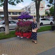 ���������� ���������, ���� ������� ���������, 81 ���, ������������ ��� ������, ����� � ���������