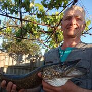 ���������� �������, ���� ������� ���������, 47 ���, ������������ ��� ������, ����� � ���������, c�������� ���������, ���������