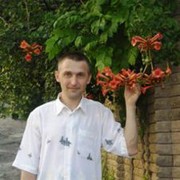  --,   , 51 ,   