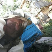  ,   , 42 ,   ,   