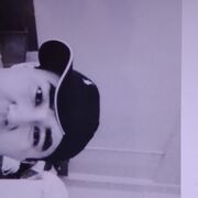 ���������� ������������, ���� ����� ���������, 23 ����, ������������ ��� ������, ����� � ���������