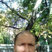  ,   , 51 ,   ,   , c , 