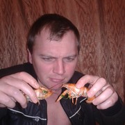 ���������� �����������, ���� ������� �������, 44 ����, ������������ ��� ������, ����� � ���������, c�������� ���������