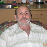  ,  barada, 65