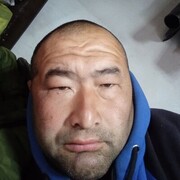 ���������� ����, ���� ������� �������, 40 ���, ������������ ��� ������, ����� � ���������