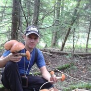  ,   , 59 ,  