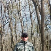  --,   , 41 ,   ,   