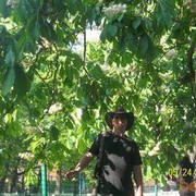  -,   , 51 ,   