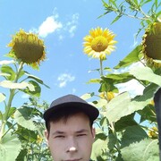  ,  , 29