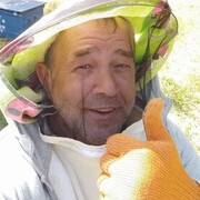  ,   , 54 ,   ,   , 
