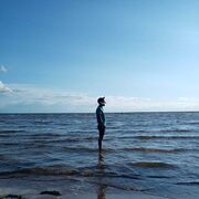 ���������� �����-���������, ���� ������� ���������, 36 ���, ������������ ��� ������, ����� � ���������, c�������� ���������, ���������