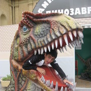 ���������� �����-���������, ���� ������� �����, 38 ���, ������������ ��� ����� � ���������, c�������� ���������, ���������