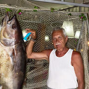 ���������� �������, ���� ������� ����, 69 ���, ������������ ��� ������, ����� � ���������