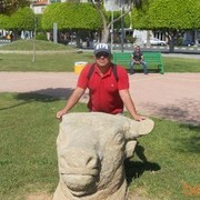  ,   , 53 ,  
