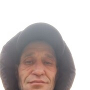  ,  , 43