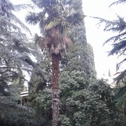  ,   , 65 ,   ,   , c 