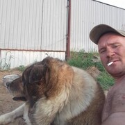  -,   , 39 ,   ,   , c , 