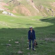 ���������� ������, ���� ������� Ali, 31 ���, ������������ ��� ������, ����� � ���������