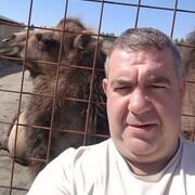 ���������� ���������, ���� ������� ������������, 50 ���, ������������ ��� ����� � ���������, c�������� ���������, ���������