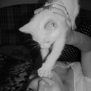 ���������� ������, ���� ������� ����������, 36 ���, ������������ ��� ����� � ���������, c�������� ���������