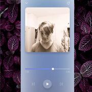  ,   Bova, 23 ,   ,   