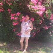  Herceg-Novi,   , 58 ,   ,   , c , 