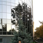 ���������� ������, ���� ������� ����, 42 ����, ������������ ��� ������, ����� � ���������, c�������� ���������