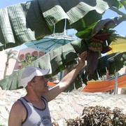 ���������� ��������, ���� ������� ��������, 62 ����, ������������ ��� ������, ����� � ���������, c�������� ���������