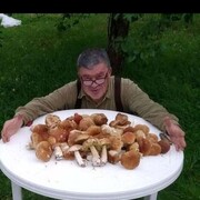 ���������� ������, ���� ������� �������, 53 ����, ������������ ��� ������, ����� � ���������