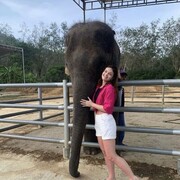 ���������� ������, ���� ������� ���������, 32 ����, ������������ ��� ������, ���������